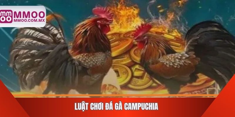 Luật chơi đá gà Campuchia